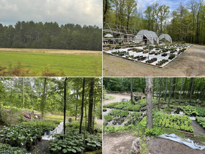 Prestige Landscaping