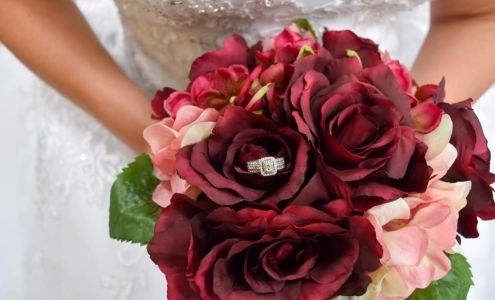 Renee' Melroy's Photography U 513, County Road 6, Liberty Center Ohio 43532