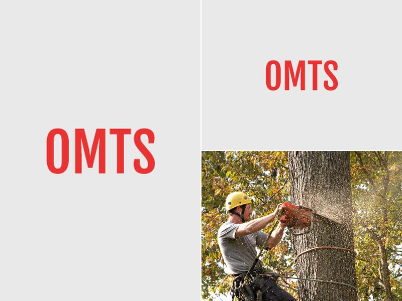 The Original McCain Tree Service