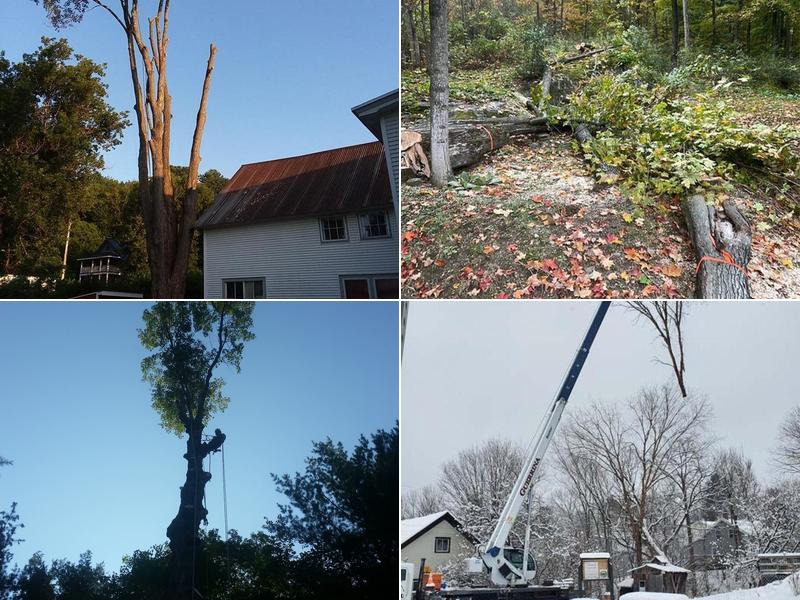 Fellers Tree Removal, LLC