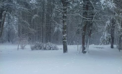 Wilbur-Dixey Custom Woodworking