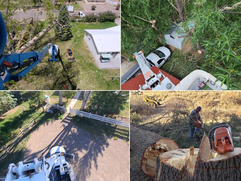 Reynolds Tree Service