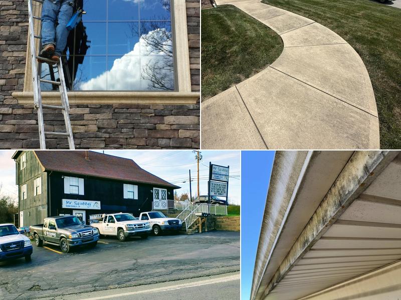 Mr. Squeegy Window Cleaning Co.