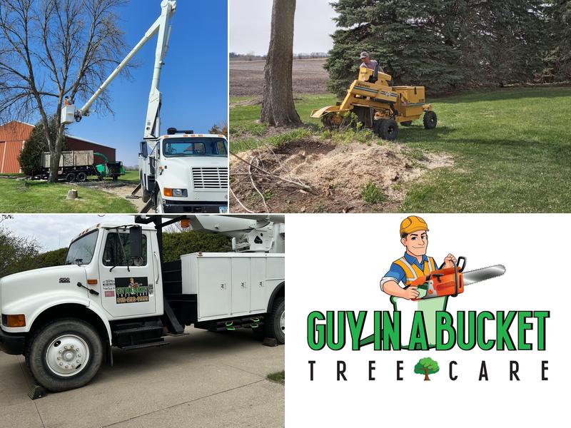 Guy in a Bucket Tree Care