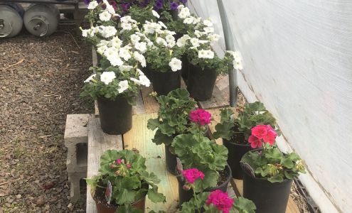 Northern Connection Landscaping, Evergreen Products & Greenhouse LLC. 1756 Co Hwy 12, Two Harbors Minnesota 55616