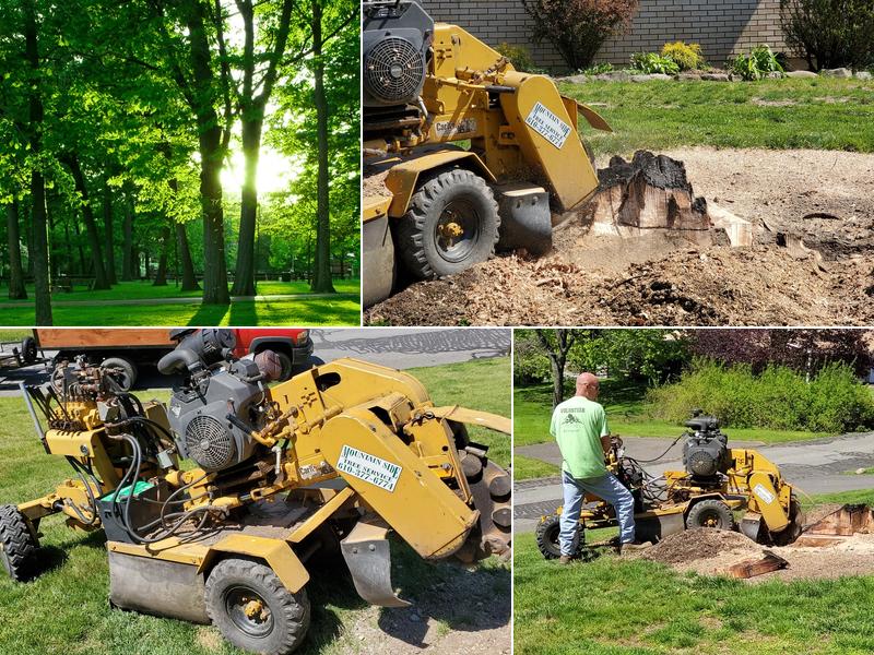 Mountain Side Tree Service