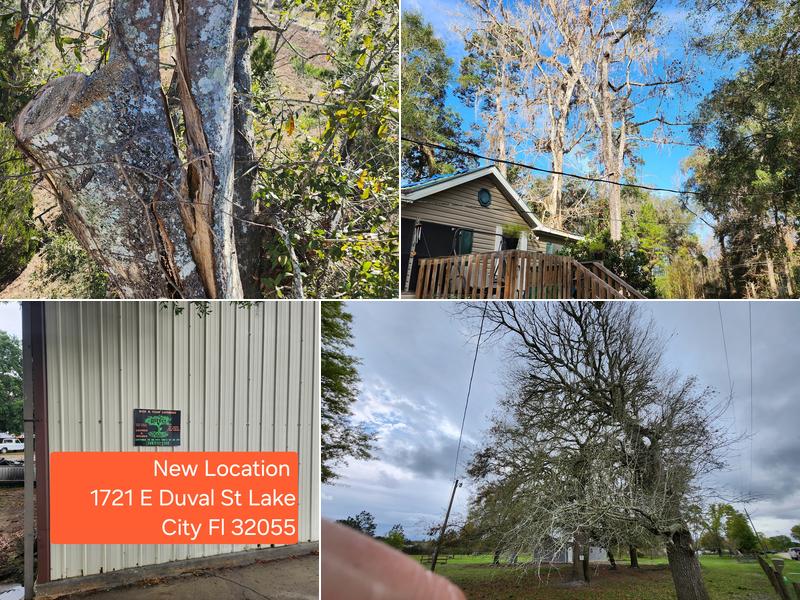 Direct Tree Service LLC