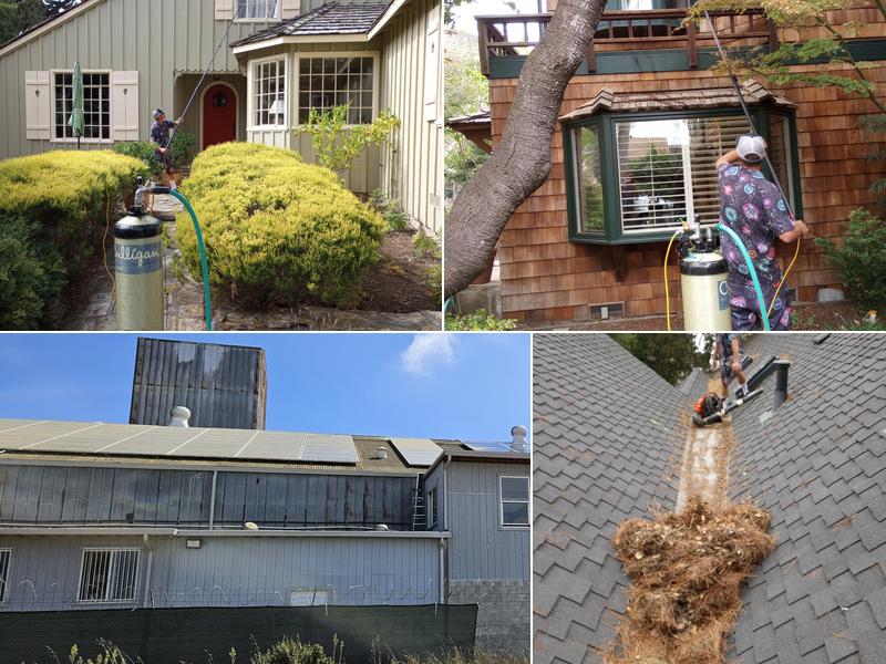 Carters Home Services