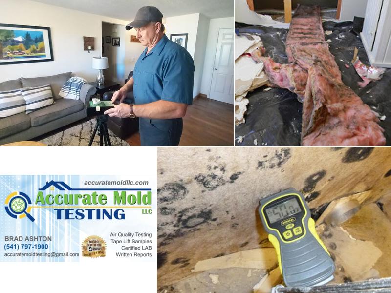 Accurate Mold Testing