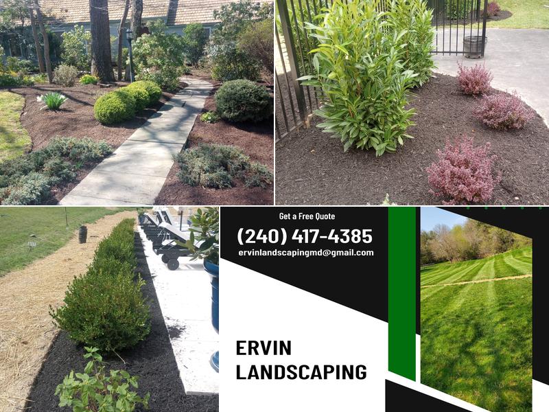 Ervin Landscaping