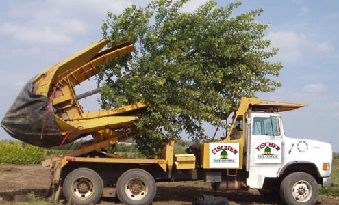 Fischer Tree Central 55575 847 1/2 Road, Norfolk Nebraska 68701