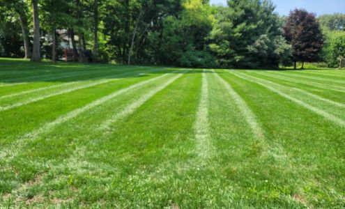 Precision Line Lawn Care Services