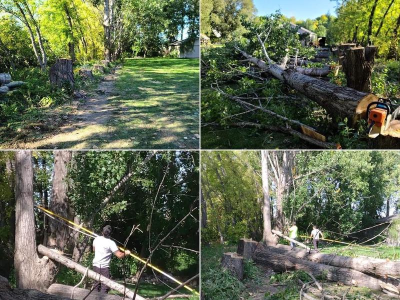 Brett's Tree Service