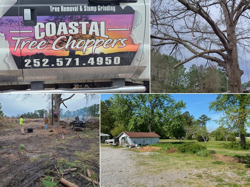 Coastal Tree Choppers