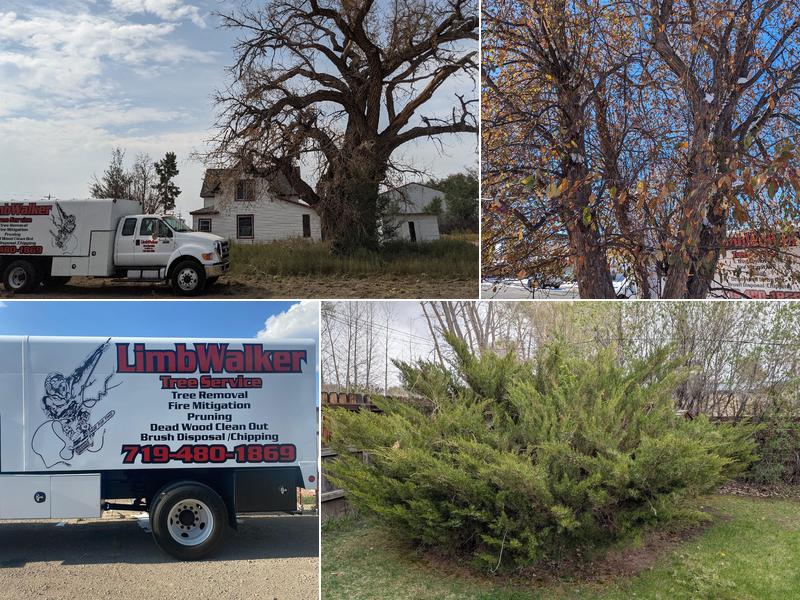 Limbwalker Tree Service