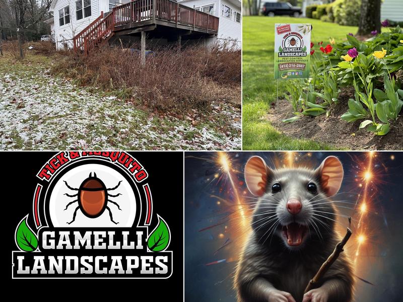 Gamelli Landscapes & Pest Control Services