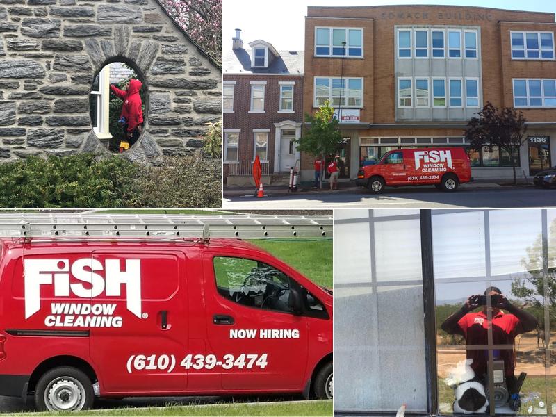 Fish Window Cleaning