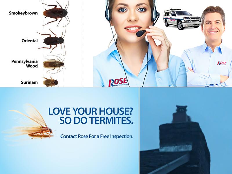 Rose Pest Solutions Columbus
