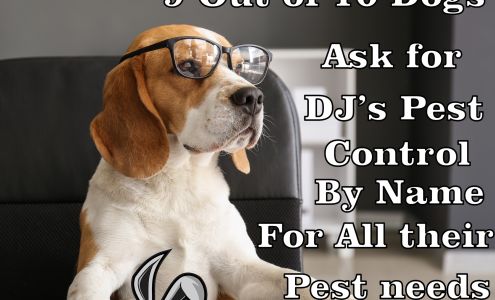 DJ's Pest Control