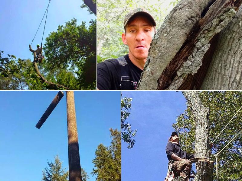 B's tree service