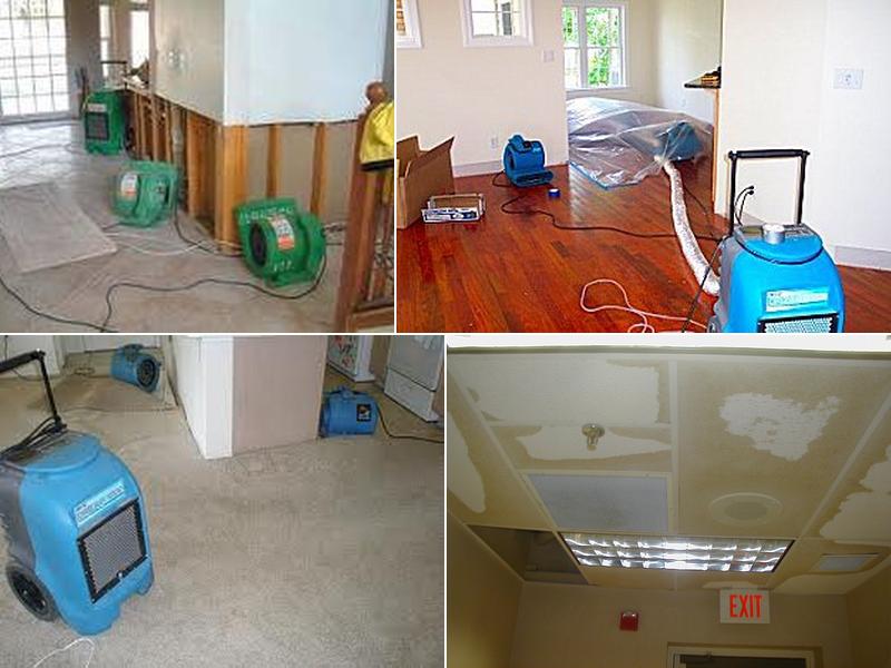 Laguna Beach Water Damage Restoration