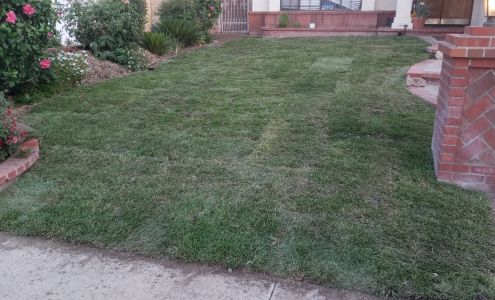 Evergreen Lawn Care services