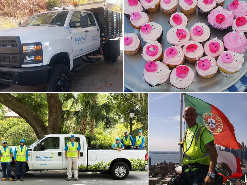 BrightView Landscape