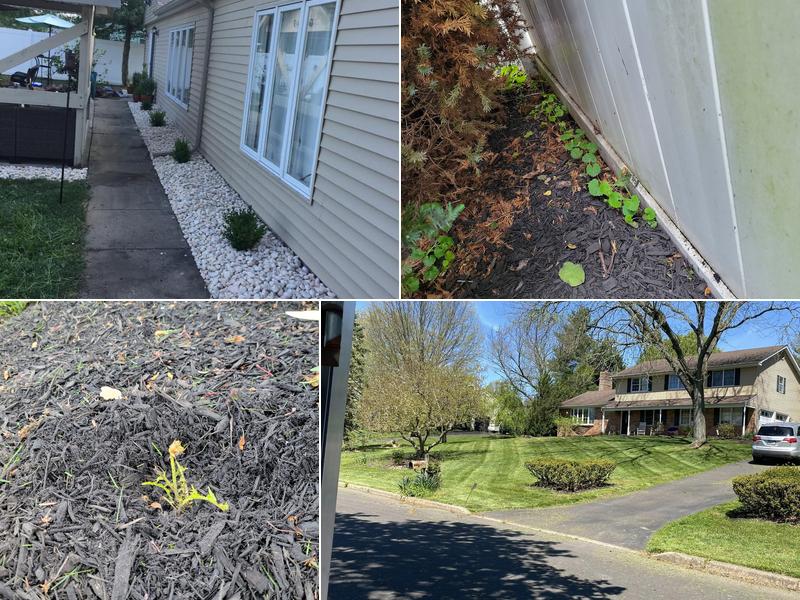 Russo's Landscaping and Tree Removal