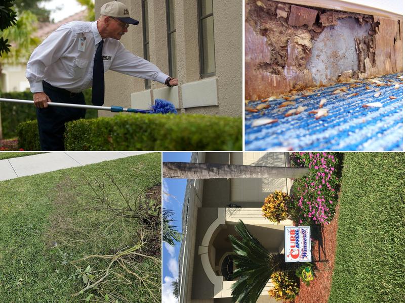 Massey Services Pest Control