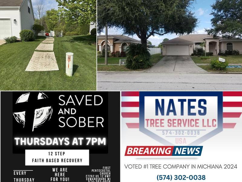 Nature Nate's Tree Service