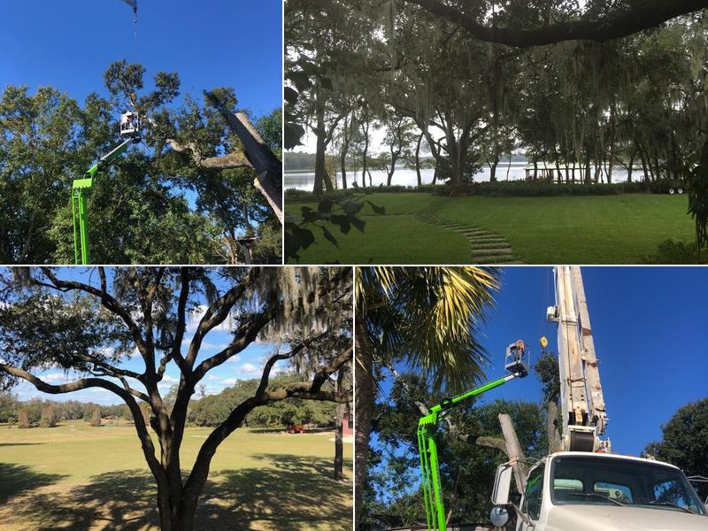 Barefoot Tree Service