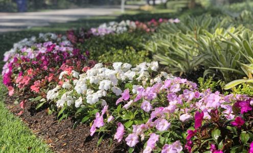 Aspiring Landscapes & Lawn Care