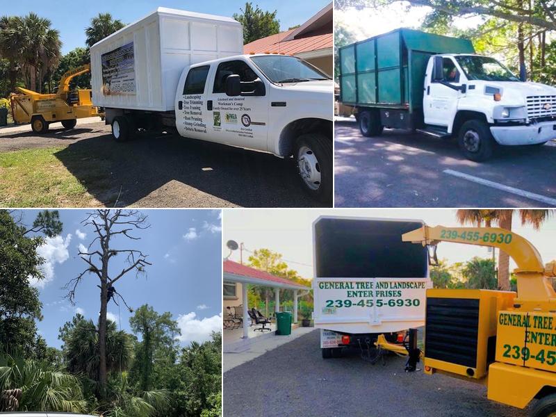 General Tree And Lawn Service Of Collier Inc,
