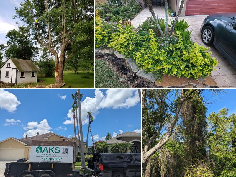 OAKS Tree Service