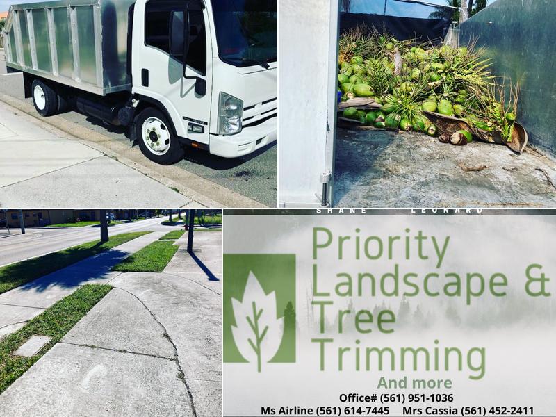 Priority Landscape & Tree Trimming LLC