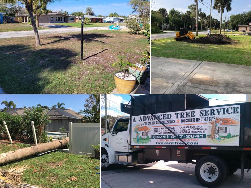 A Advanced Tree Service