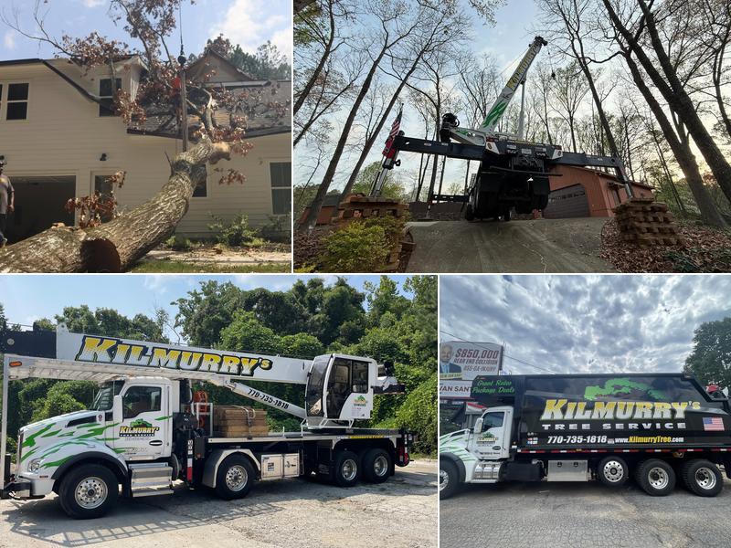 Kilmurry's Tree Service