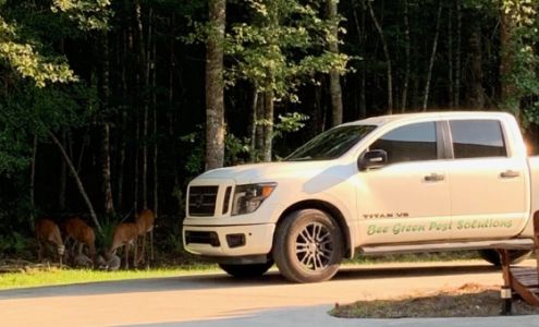 Bee Green Pest Solutions 7373 Hodgson Memorial Dr #1B, Savannah Georgia 31406