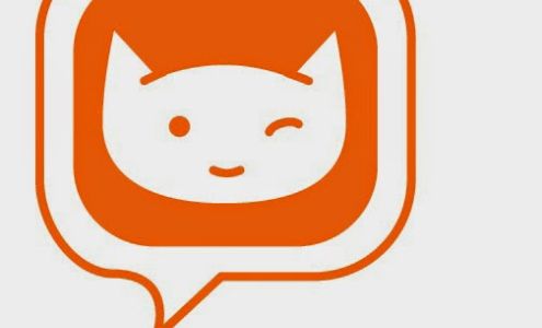 Bionic Cat Apple Macintosh Consulting