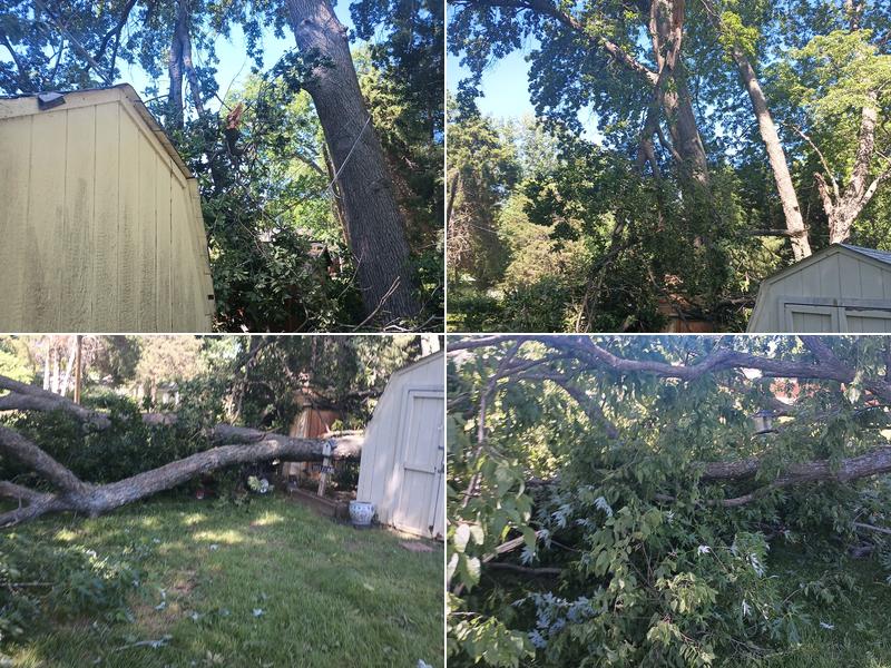 Asplundh Tree Expert, LLC Region 066