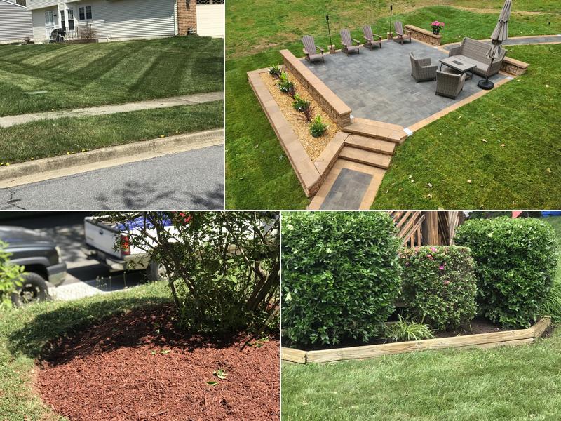 Scott's lawn service