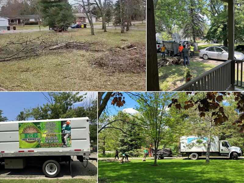 F & G Tree Service, Llc