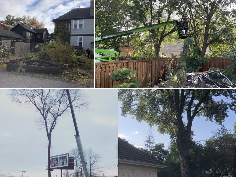 Urban Foresters Inc.