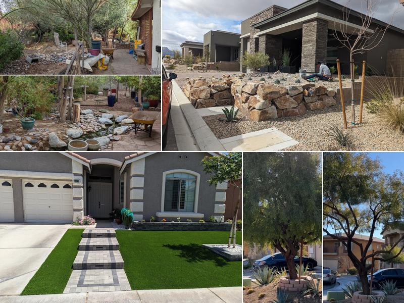 Las Vegas Tree & Landscaping