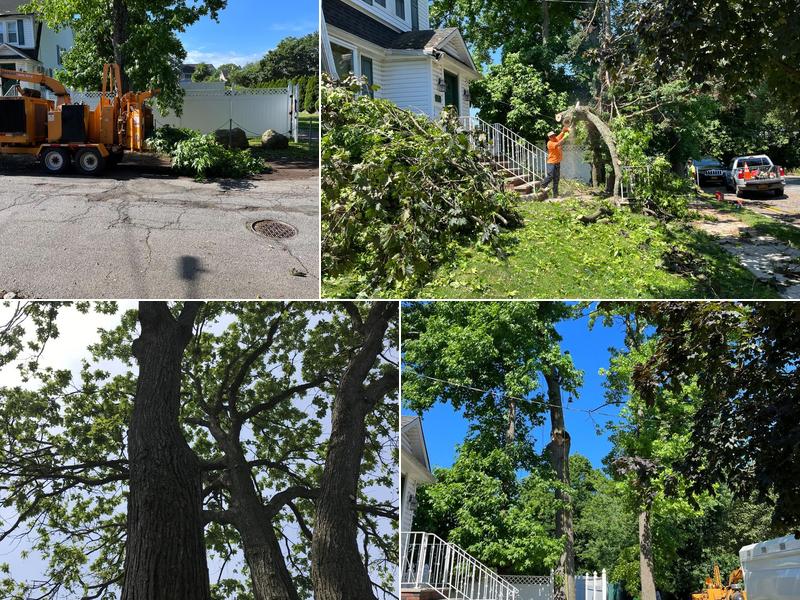 Kelly's Tree Services