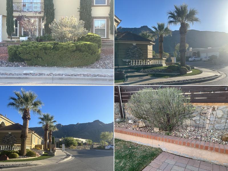 Al's Landscape Maintenance