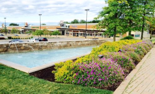 Element Landscape Services Inc