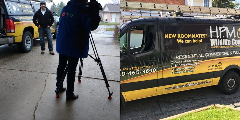 H P M Wildlife Control