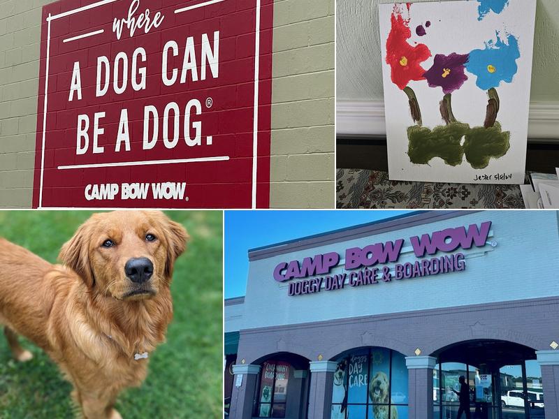 Camp Bow Wow Virginia Beach