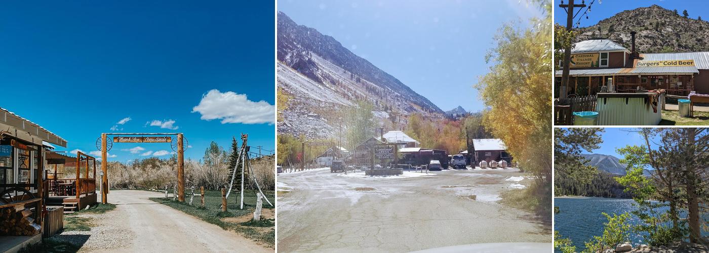 Cardinal Cafe Bishop